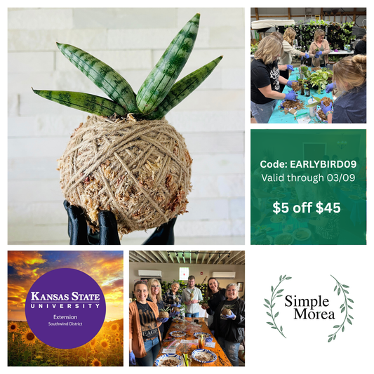 Mar. 17, 2026 - Fort Scott, KS