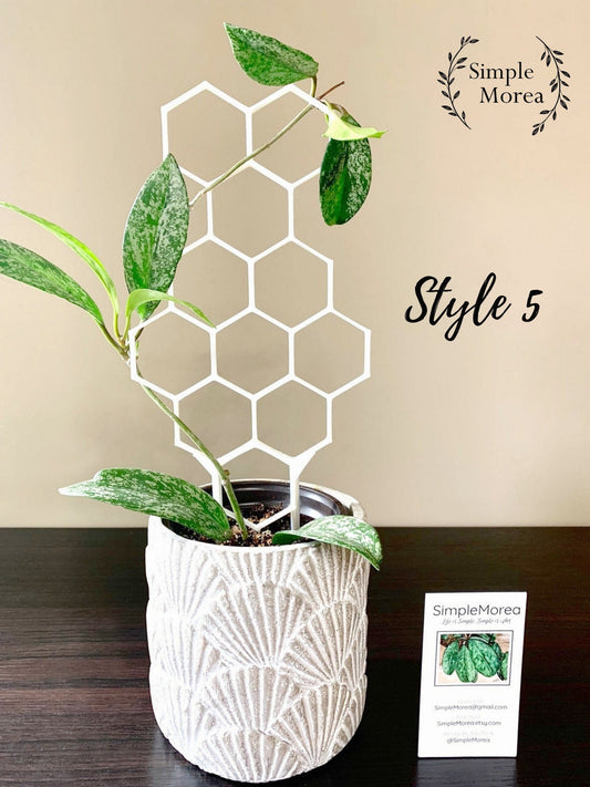 12" Tall White Honeycomb Plant Trellis, Style #5