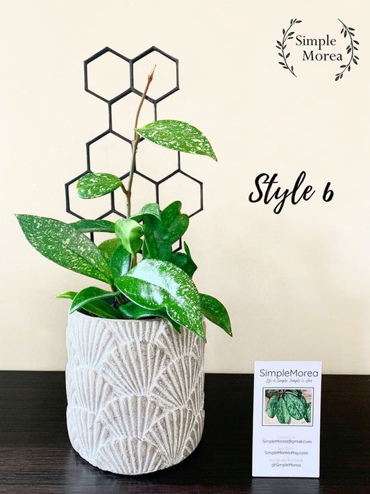 12" Tall Black Honeycomb Plant Trellis, Style #6