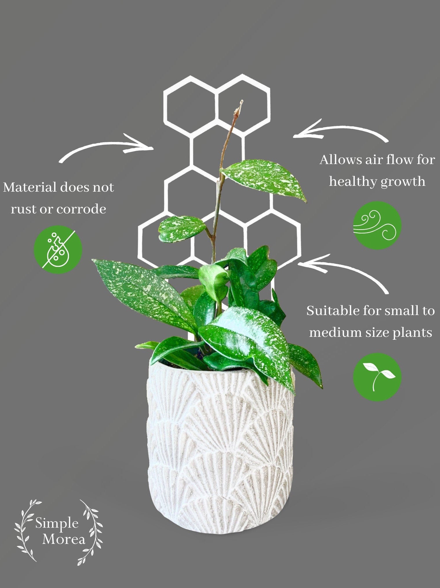 12" Tall White Honeycomb Plant Trellis, Style #5