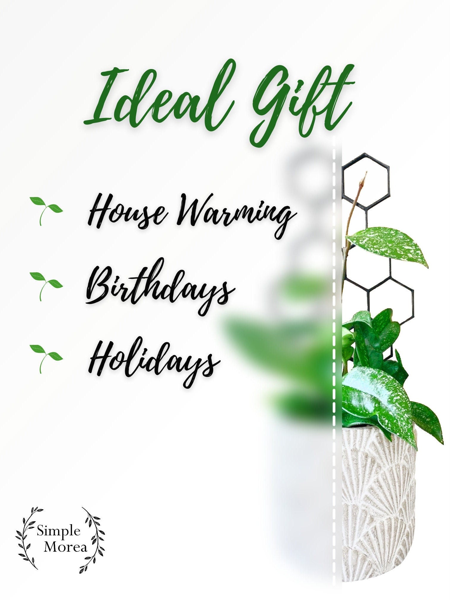 12" Tall Black Circle Plant Trellis, Style #10