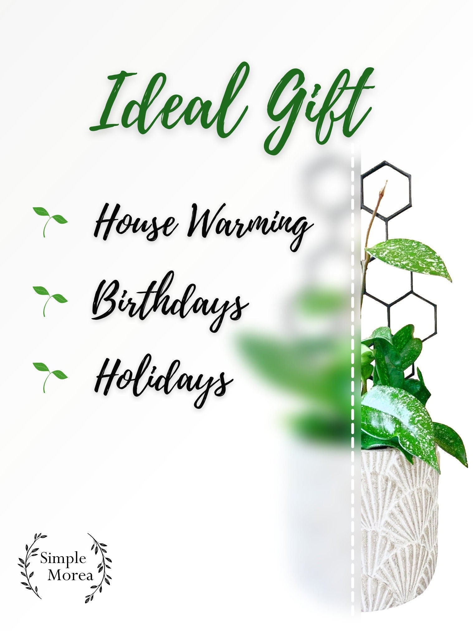 12" Tall White Honeycomb Plant Trellis, Style #5